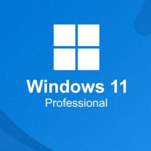Windows 11 Professional License key - OEM